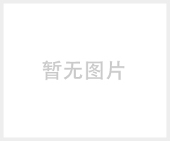 伟松鞋业D0201欧美鱼嘴平底坡跟女鞋人造PU女式凉鞋