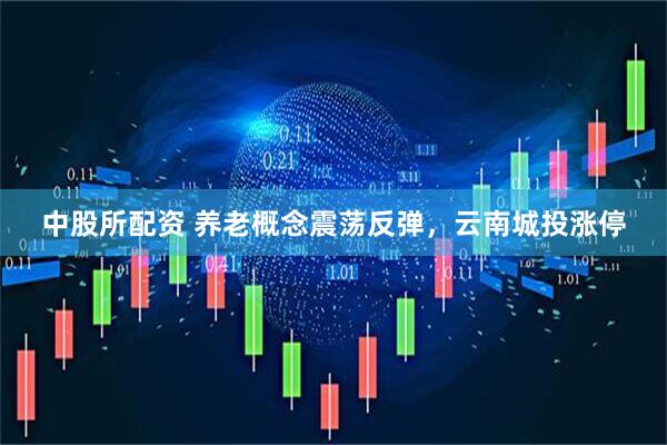 中股所配资 养老概念震荡反弹，云南城投涨停