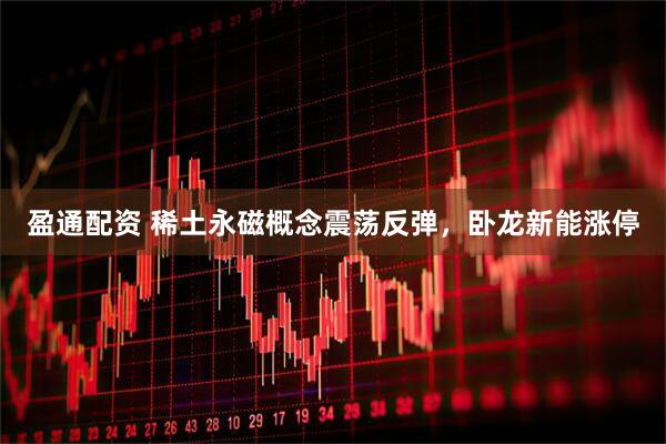 盈通配资 稀土永磁概念震荡反弹，卧龙新能涨停