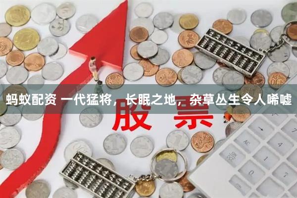 蚂蚁配资 一代猛将，长眠之地，杂草丛生令人唏嘘