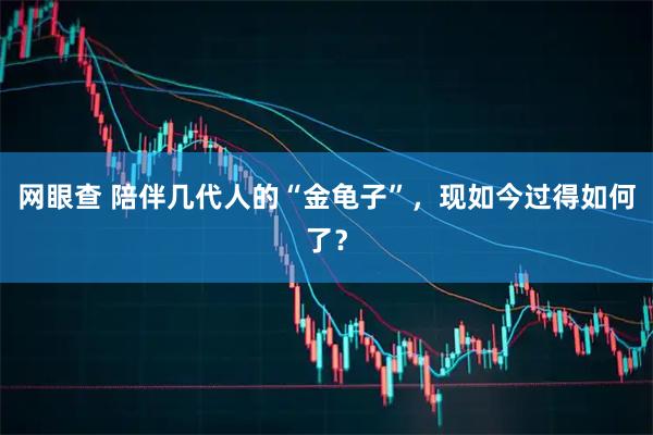 网眼查 陪伴几代人的“金龟子”，现如今过得如何了？