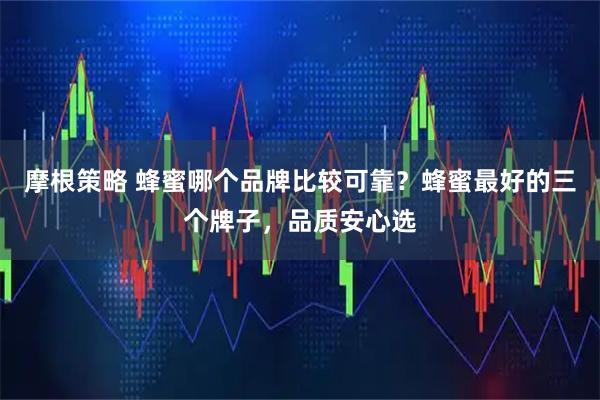 摩根策略 蜂蜜哪个品牌比较可靠？蜂蜜最好的三个牌子，品质安心选